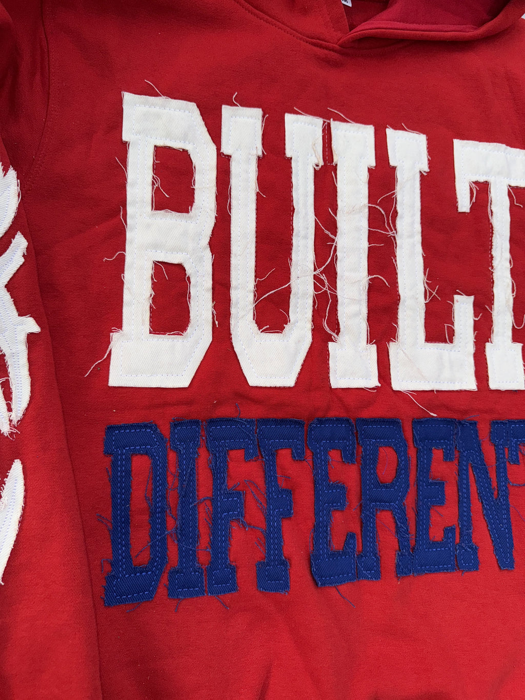 Built Different: Bloodline Mafia Edition Unisex Hoodie – 350 GSM Premium Cotton, Distressed Embroidery, Let’s Go Buffalo Patch